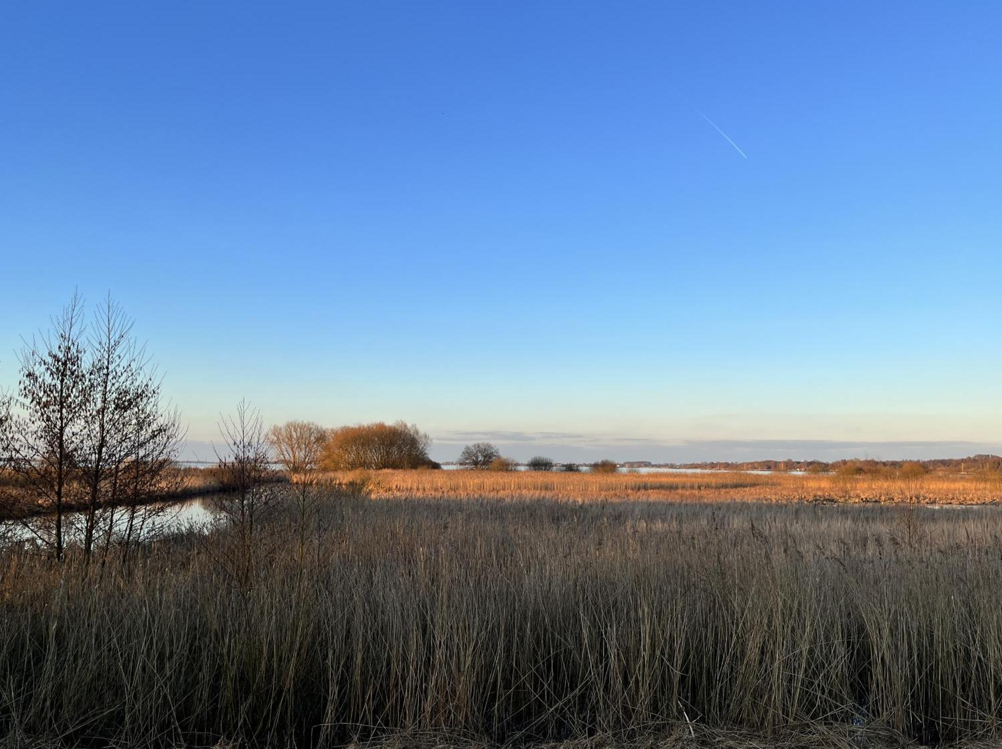 Hueder Hof Am Duemmer See Lejlighedshotel Værelse billede